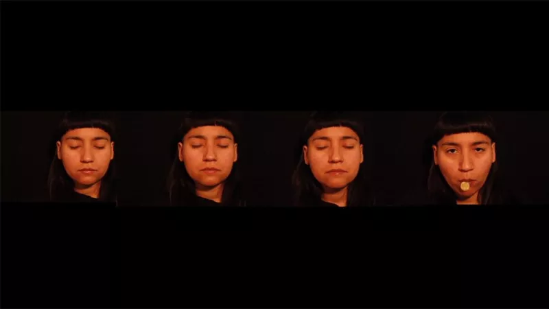 Mongeley taiñ dungun (Está viva nuestra lengua) - Paula Baeza Pailamilla