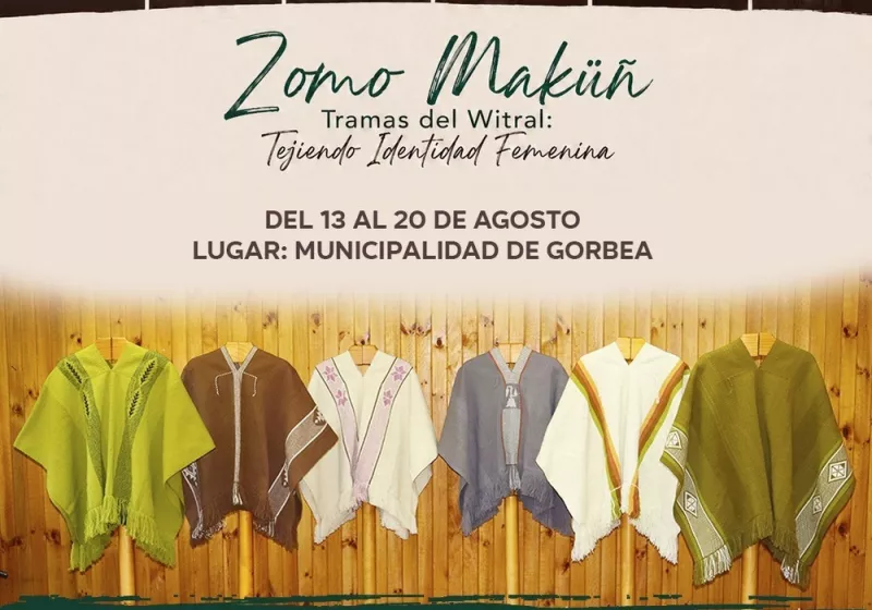"Zomo Maüñ: Creando valor colectivo para la artesanía textil mapuche."