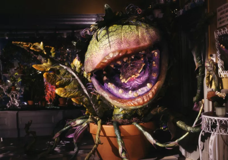 Ciclo de Cine - Little Shop of Horrors
