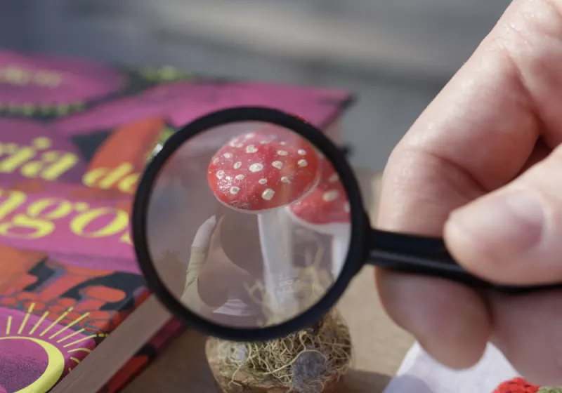 Al barro fungi! Modelado de hongos en cerámica