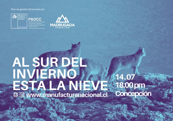 Cine Mediado Concepción: Al Sur del Invierno está la Nieve