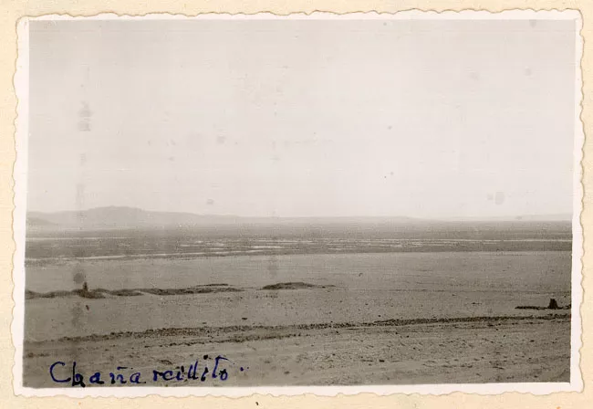 Chañarcillo