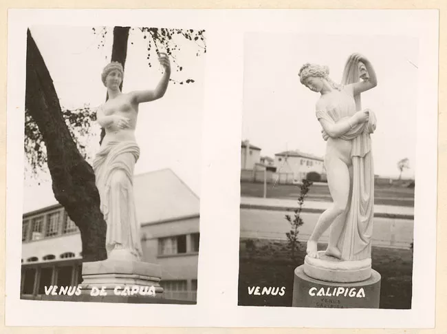 Venus de Capua y Venus Calipiga