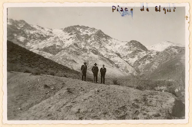Pisco de Elqui