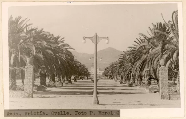 Avenida Ariztía, Ovalle