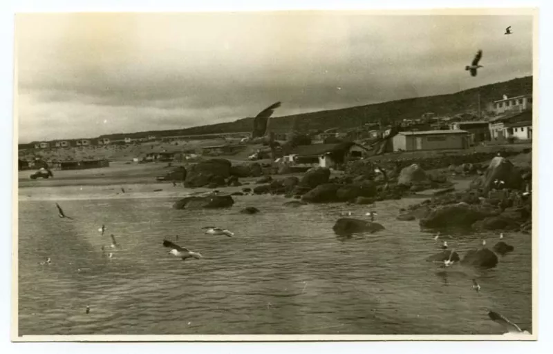 Guanaqueros