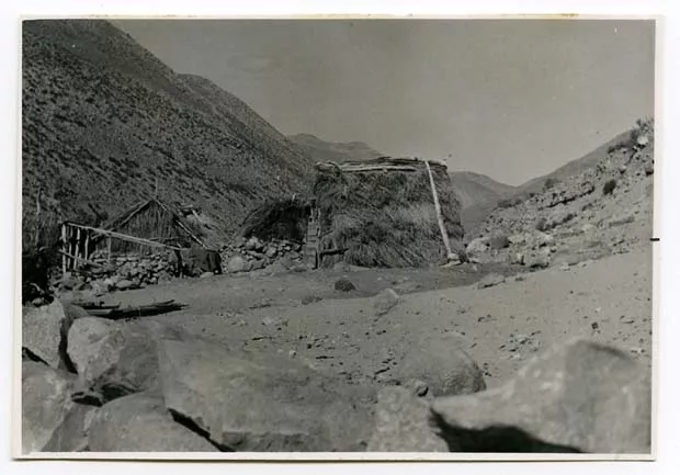 Los Pajaritos