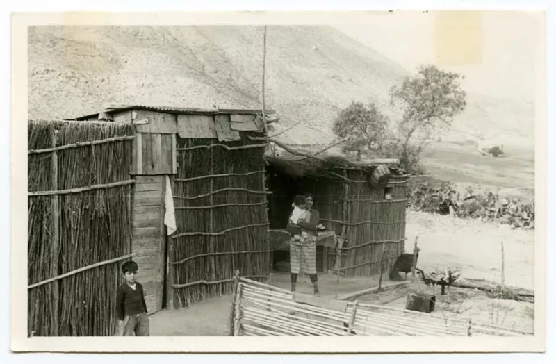La Totorita