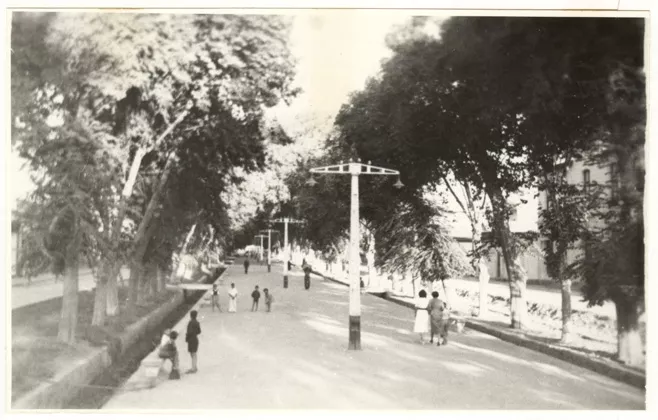 Alameda de La Serena