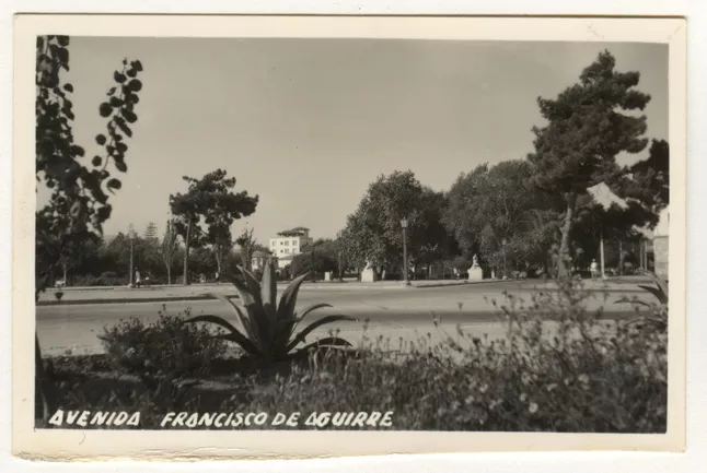 Avenida Francisco de Aguirre de La Serena