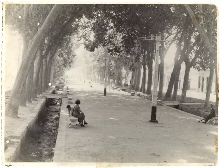 Alameda de La Serena