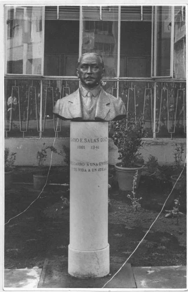 Darío E. Salas Díaz