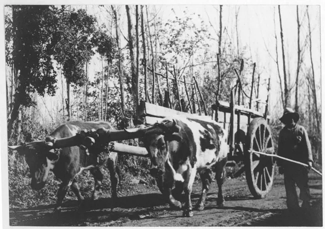 Carreta con peón