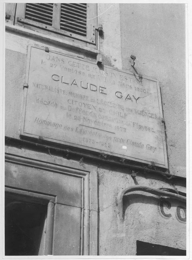 Claudio Gay