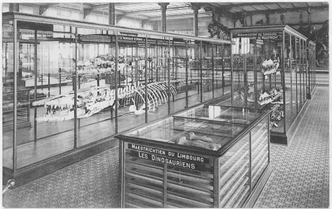 Museo de Historia Natural de París