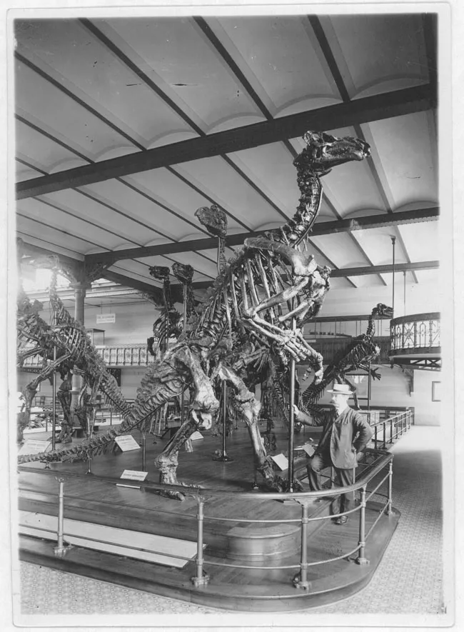 Museo de Historia Natural, París