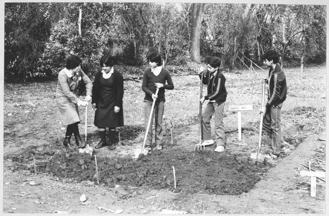 Alumnos trabajando en actividades del programa de huertos escolares, Escuela de Colina, 1983