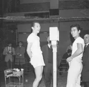 Godfrey  Stevens Versus Sdijo