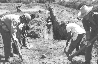Estudiantes, Trabajos de Verano