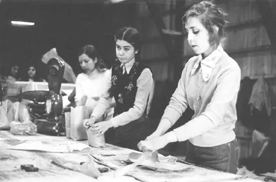 Trabajos Voluntarios