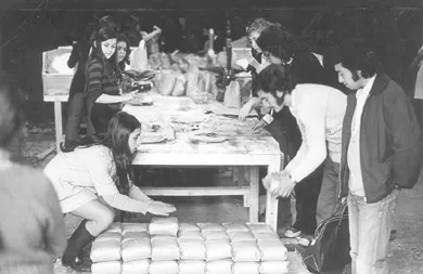 Trabajos Voluntarios
