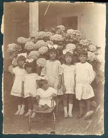 Elena Arancibia y otros