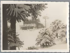 Refugio entre Nieve