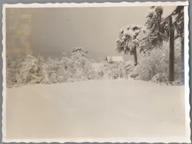 Campo Nevado