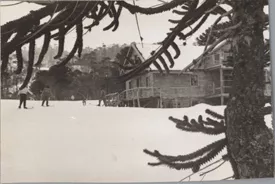 Refugio en la Nieve