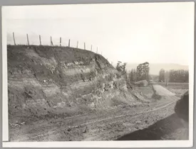 Camono S. Juana Nacimiento