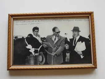 Exposición bovina