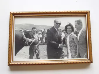Exposición bovina