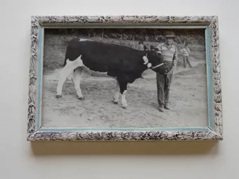 Retrato de hombre con bovino