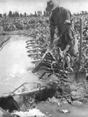 Riego, Actividad Agrícola