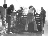 Chile, Trabajos Voluntarios, 1972