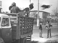 Chile, Trabajos Voluntarios, 1972