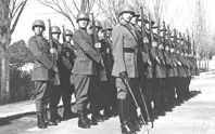 Formación de Parada