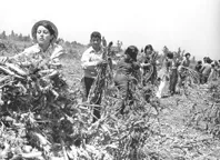 Chile, trabajos voluntarios