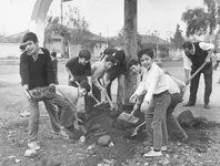 Chile, trabajos voluntarios