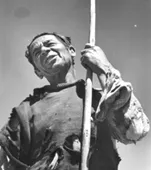 Pampino