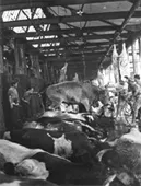 Matadero