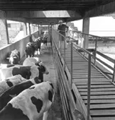 Matadero Lo Valledor