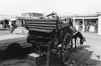 Comercio, Matadero Lo Valledor