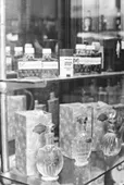 Vitrina de Tienda