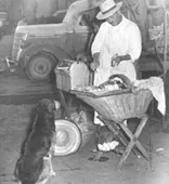 Vendedor callejero