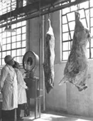 Matadero Lo Valledor