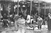 Matadero