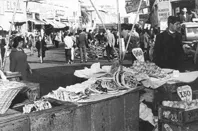 Comercio Ambulante