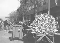 Agricultura, Hortalizas.