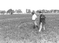 Chile, Economía. Agricultura Hortalizas.